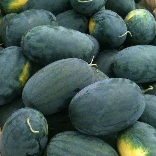 四川校园吃瓜黑料