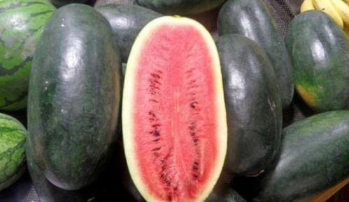 科普17c吃瓜官网黑料,黑料背后的真相与反思