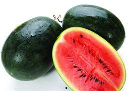 黑吃瓜料网在哪里下载,下载攻略与风险提示